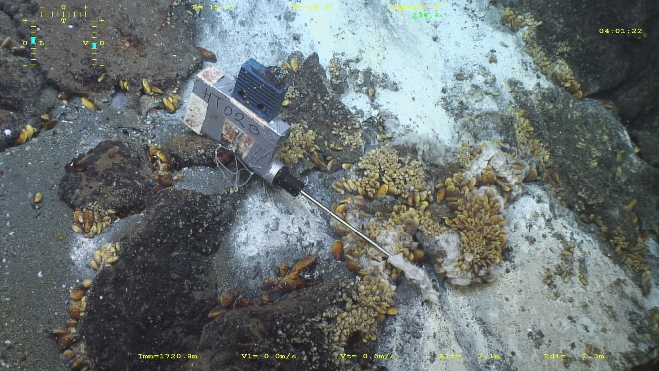 https://www.emso-fr.org/var/storage/images/_aliases/fullsize/medias-ifremer/medias-emso_france/emso-azores/photos-species/temperature-probe/1784465-1-eng-GB/Temperature-probe.jpg