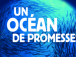 Un océan de promesses